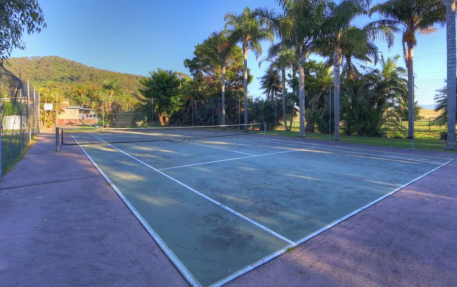 The tennis court with its net up, ringed by palms with the mountain behind