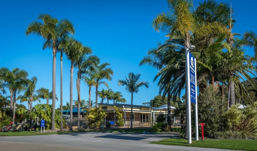 Tall palms lining the entrance drive, with the resort sign and the office beyond