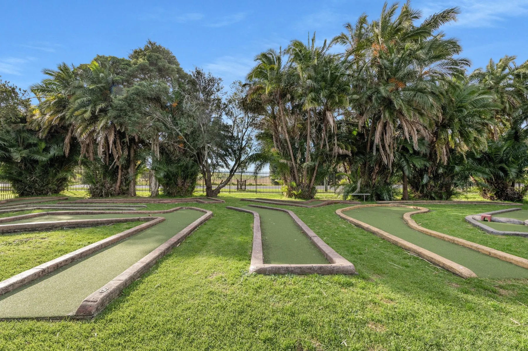 Long grass site strips running between rows of tall palms