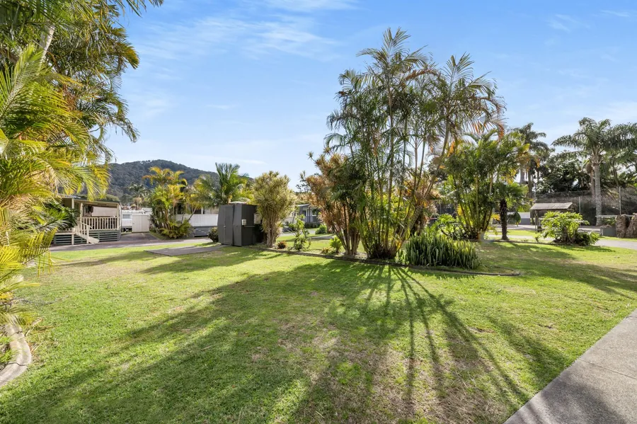 An open grass drive-through site bordered by palms